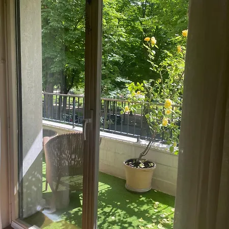 Exclusive 106 M2 With Terrace Avenue Raphael 公寓 *